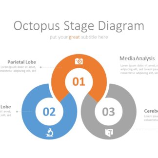 Infograhpic Process-53